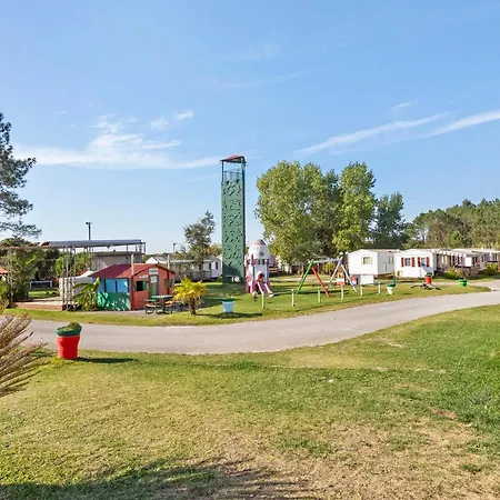 T3 I - 15 Min From Nazaré Chalet *